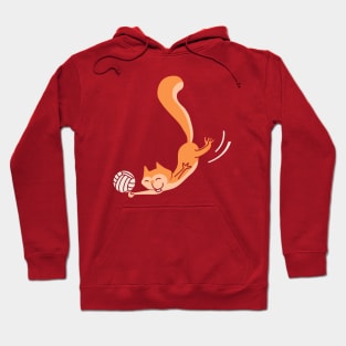 Volleyball Playing Squirrel Hoodie